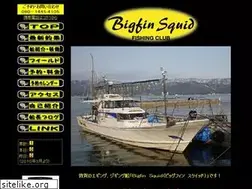 Sites similar to bigfin-squid.com