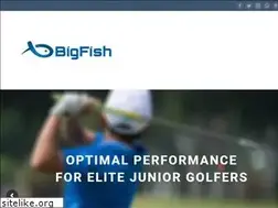 Sites similar to bigfishes.com