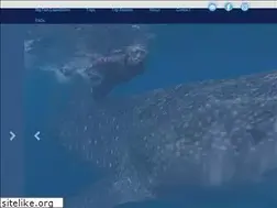 Sites similar to bigfishexpeditions.com