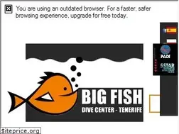 Sites similar to bigfishtenerife.com