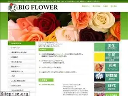 Sites similar to bigflower.co.jp