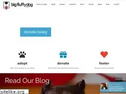 Sites similar to bigfluffydogs.com