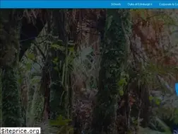 Sites similar to bigfootadventures.co.nz