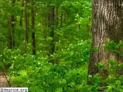 Sites similar to bigfootodyssey.us