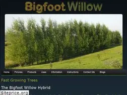 Sites similar to bigfootwillow.com