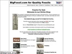 Sites similar to bigfossil.com