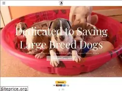 Sites similar to bigheartsbigbarks.com