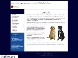 Sites similar to bigheartspetsitting.com