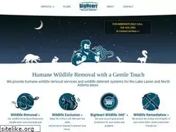 Sites similar to bigheartwildlife.com