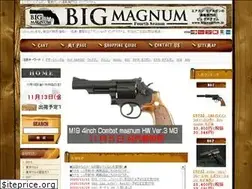 Sites similar to bigmagnum.jp
