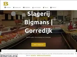 Sites similar to bigmansgorredijk.nl