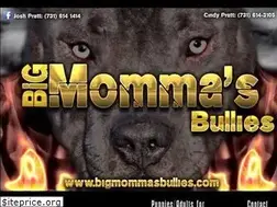Sites similar to bigmommasbullies.com