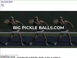 Sites similar to bigpickleballs.com