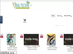 Sites similar to bigpicltd.com