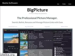 Sites similar to bigpicture.badiasoftware.com