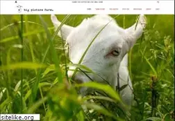 Sites similar to bigpicturefarm.com