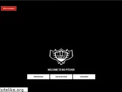 Sites similar to bigpitcher.co.in