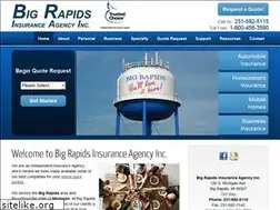 Sites similar to bigrapidsinsurance.com