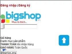 Sites similar to bigshop.vn