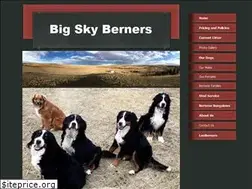 Sites similar to bigskyberners.com