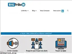 Sites similar to bigtribu.fr