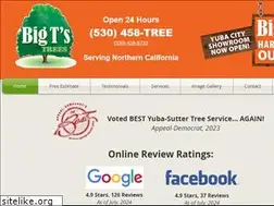 Sites similar to bigtstrees.com