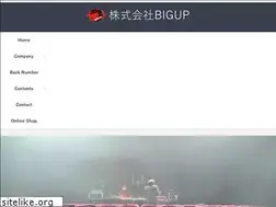 Sites similar to bigup-net.co.jp