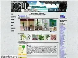 Sites similar to biguppalm.com