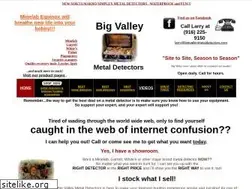 Sites similar to bigvalleymetaldetectors.com