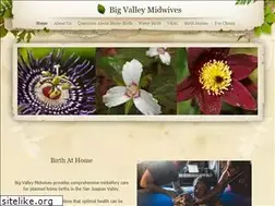 Sites similar to bigvalleymidwives.com