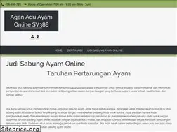 Sites similar to bigwashlaundry.com