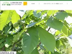 Sites similar to bigyard-popo.com