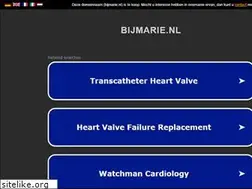 Sites similar to bijmarie.nl