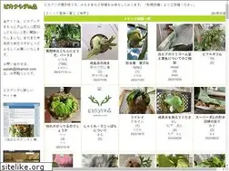 Sites similar to bikamori.com