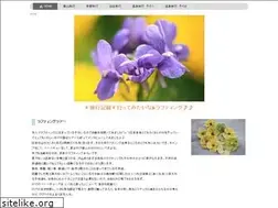 Sites similar to bikelifetv.com