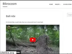 Sites similar to bikrocosm.com