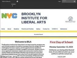 Sites similar to bilanyc.net