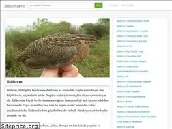 Sites similar to bildircin.gen.tr