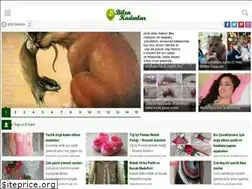 Sites similar to bilenkadinlar.com