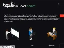 Sites similar to bilgeadamboost.com