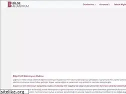 Sites similar to bilgealuminyum.com