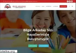 Sites similar to bilgearkadas.com