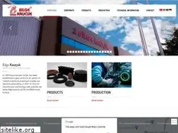 Sites similar to bilgekaucuk.com