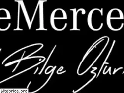 Sites similar to bilgeozturkkiteclub.com