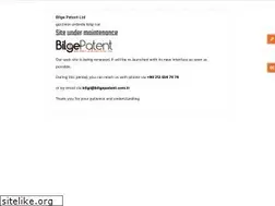 Sites similar to bilgepatent.com.tr