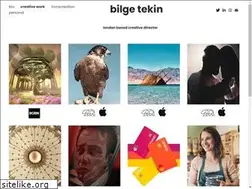 Sites similar to bilgetekin.com