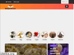 Sites similar to bilgiadresi.com