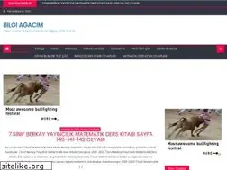 Sites similar to bilgiagacim.com