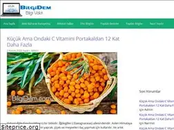 Sites similar to bilgidem.com