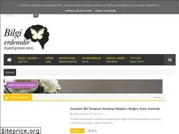 Sites similar to bilgierdemdir.com